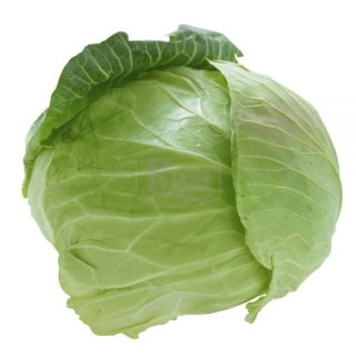 Капуста белокочанная Либератор F1 - ООО «Семена Тут»