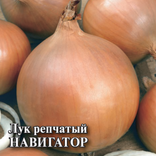 img-2: Лук репчатый Навигатор - ООО «Семена Тут»