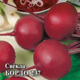 img-1: Свекла Бордо 237 - ООО «Семена Тут»