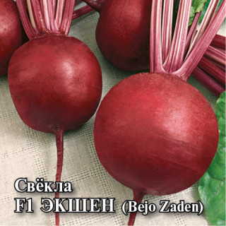 img-0: Свекла Экшен F1 - ООО «Семена Тут»