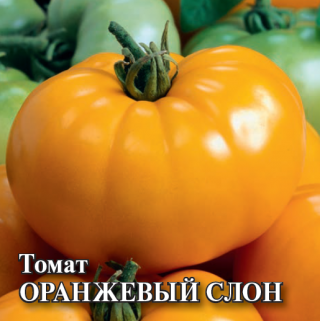 img-1: Томат Оранжевый слон - ООО «Семена Тут»