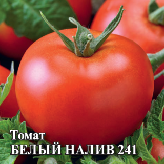 img-1: Томат Белый налив 241 - ООО «Семена Тут»
