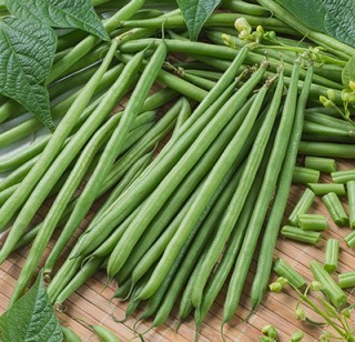 Фасоль Водопад зеленый - ООО «Семена Тут»