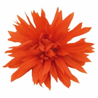 img-1: Бегония Фанки Оранж [1000 драже] - ООО «Семена Тут»