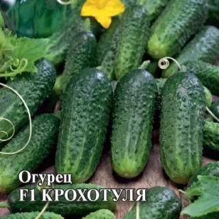 img-1: Огурец Крохотуля F1 - ООО «Семена Тут»