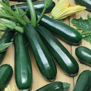 Кабачок Цубода - ООО «Семена Тут»