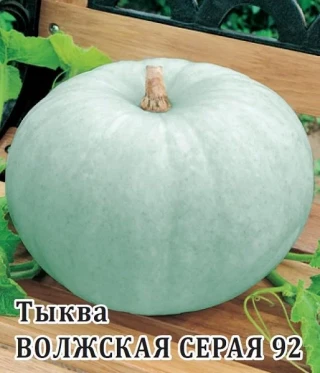 img-2: Тыква Волжская серая 92 - ООО «Семена Тут»