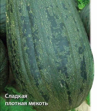 Тыква твердокорая Грибовская кустовая 189 - ООО «Семена Тут»