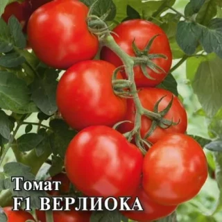 img-1: Томат Верлиока F1 - ООО «Семена Тут»