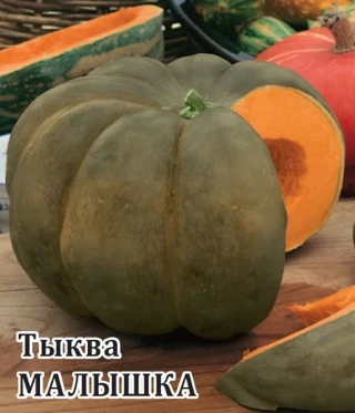 img-1: Тыква Малышка - ООО «Семена Тут»