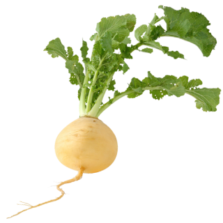 img-0: Репа Диско - ООО «Семена Тут»