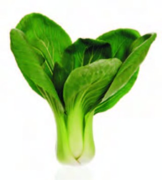 Капуста китайская Янг Цинг Чой - ООО «Семена Тут»