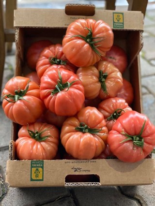 img-1: Томат Пинк Кой F1 - ООО «Семена Тут»