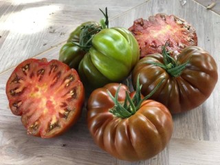 img-2: Томат Браун Кой F1 - ООО «Семена Тут»