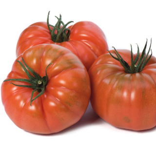 Томат Ред Кой F1 - ООО «Семена Тут»