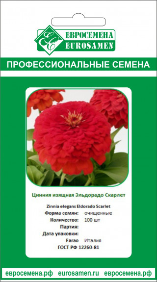 img-1: Цинния изящная Эльдорадо Скарлет [100 шт] - ООО «Семена Тут»
