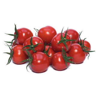 img-0: Томат Яничери F1 - ООО «Семена Тут»