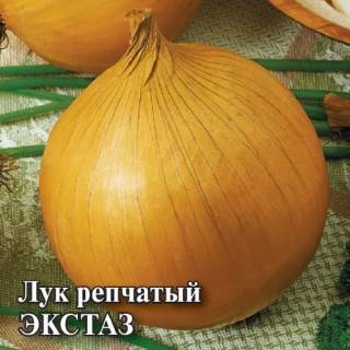 Лук репчатый Экстаз - ООО «Семена Тут»