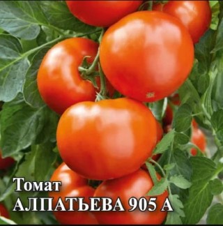 img-1: Томат Алпатьева 905 А - ООО «Семена Тут»