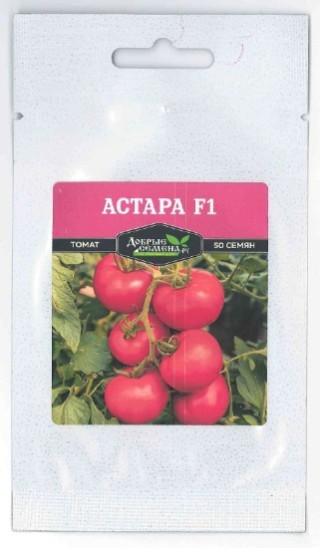 img-1: Томат Астара F1 - ООО «Семена Тут»
