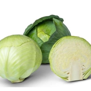 Капуста белокочанная Аванто F1 - ООО «Семена Тут»