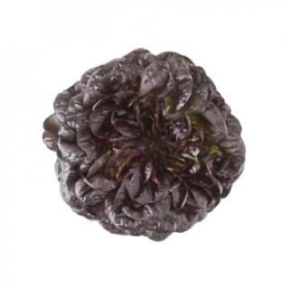 img-0: Салат Барлах - ООО «Семена Тут»