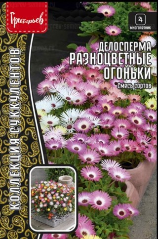 img-1: Делосперма  Разноцветные огоньки (смесь) [5х0,01 гр] - ООО «Семена Тут»