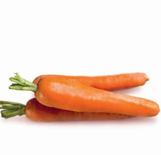 Морковь Карибоу F1 (фракция 1,6-1,8 мм) - ООО «Семена Тут»