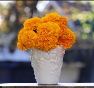 img-1: Бархатцы Коко Голд [1000 шт] - ООО «Семена Тут»