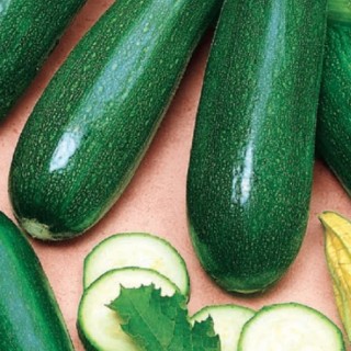 Кабачок Мавр - ООО «Семена Тут»