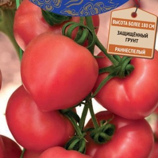 Томат Розовый Фрегат F1 (инкруст. семена) - ООО «Семена Тут»