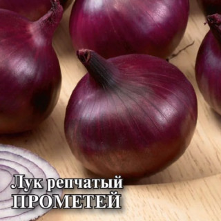 img-0: Лук репчатый Прометей - ООО «Семена Тут»