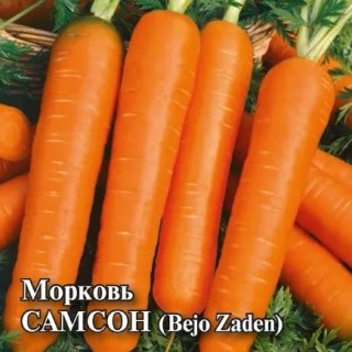 img-1: Морковь Самсон - ООО «Семена Тут»