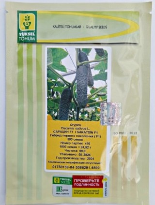 img-1: Огурец Сарацин F1 - ООО «Семена Тут»