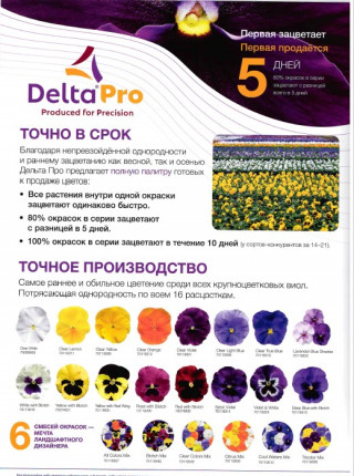 img-2: Виола крупноцветковая Дельта Про микс [1000 шт] - ООО «Семена Тут»