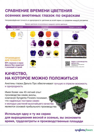 img-3: Виола крупноцветковая Дельта Про микс [1000 шт] - ООО «Семена Тут»