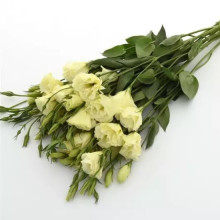 img-1: Эустома Флэр Еллоу [1000 драже] - ООО «Семена Тут»