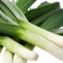 Лук Порей Голиаф - ООО «Семена Тут»