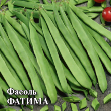 Фасоль Фатима - ООО «Семена Тут»