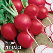 img-1: Редис Ричард - ООО «Семена Тут»