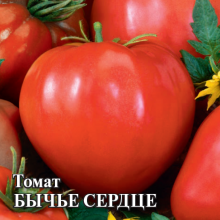 img-1: Томат Бычье сердце - ООО «Семена Тут»