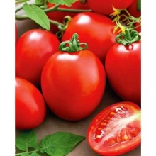 Томат Виолетта F1 - ООО «Семена Тут»