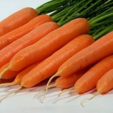 Морковь Джерада F1 [фракция 1,8 -2,0 мм] - ООО «Семена Тут»