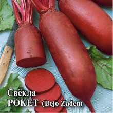 img-1: Свекла Рокет - ООО «Семена Тут»
