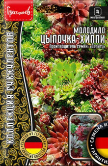 img-1: Молодило Хиппи Чикс [ 5 х 5 драже] - ООО «Семена Тут»