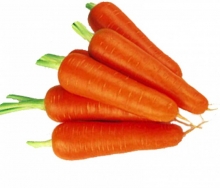 Морковь Абако F1 (фракция 2,0-2,6 мм) - ООО «Семена Тут»