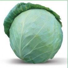 Капуста белокочанная Хонка F1 - ООО «Семена Тут»