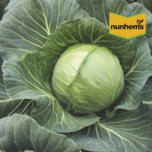 Капуста белокочанная Габриель F1 - ООО «Семена Тут»