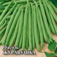 Фасоль спаржевая Журавушка - ООО «Семена Тут»
