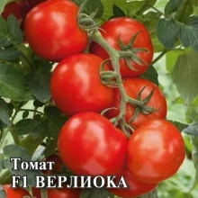 img-1: Томат Верлиока F1 - ООО «Семена Тут»